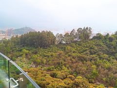 -小南山公园