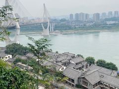 -大渡口区义渡公园