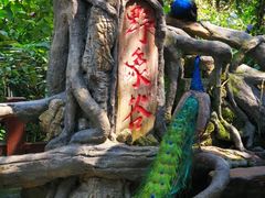 -野象谷景区