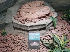 -辽宁古生物博物馆