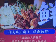 -木王宴语·野生鲜菌火锅(玉河店)