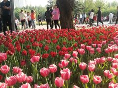 -长春公园(普阳街道)