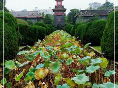 -四川大学(华西校区)