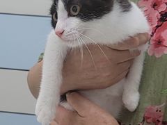 -中农国际动物医院24小时·猫科·骨科·急重症中心