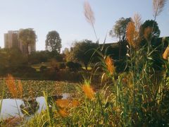-桃花岭景区