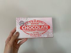 -关西国际机场直营免税店
