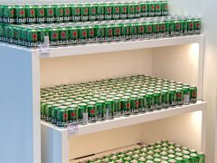 -谢列梅捷沃国际机场