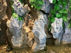 -长春宾馆·丽豪浴都