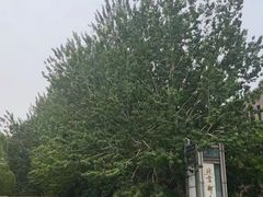 -中央戏剧学院(昌平校区)