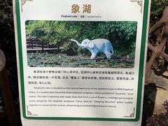 -野象谷景区