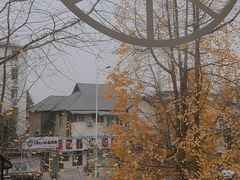 -森果咖啡(人民西路店)