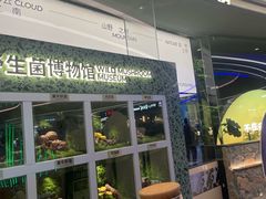 -芸山季·云南山珍菌火锅(南翔印象城MEGA店)