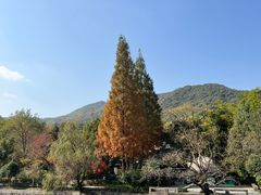 -兰亭风景区