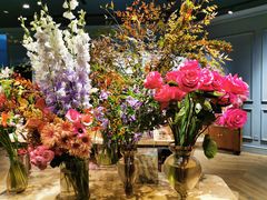 -BEAST野兽派(上海浦东嘉里城店)