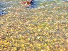 -坝光海滩