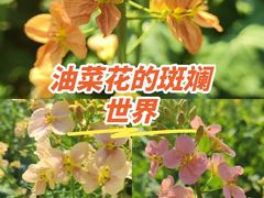 -中国天府农业博览园