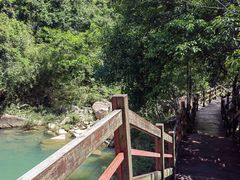 -广州白江湖森林公园