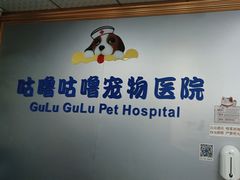 -咕噜咕噜宠物医院·CT·肿瘤科·骨科(前海院)