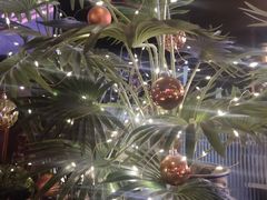 -VERVO金酒吧·独立电音俱乐部(正义坊购物中心店)