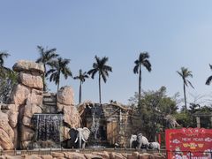 -美的鹭湖探索王国