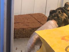 -五道口枣糕王(成府路店)