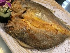 香煎黄花鱼-梓程海鲜大酒家