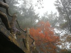 -罗田天堂寨风景区