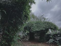-古琴台