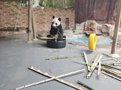 -东莞香市动物园