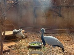 -昆明动物园