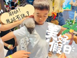 -酷嗒动物文化乐园(cutezoo西溪乐天城店)