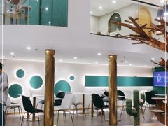 大堂-飞行喵MR PILOT|猫舍·猫咖(静安大融城店)