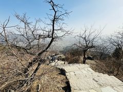 -北京西山国家森林公园