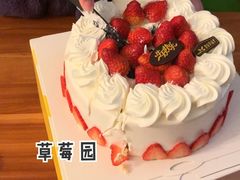 -皇冠幸福里动物奶油生日蛋糕(龙阳村地铁站店)