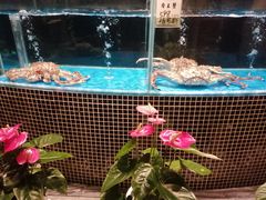 水产区-江南赋(内蒙古大厦店)