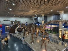 -国家自然博物馆