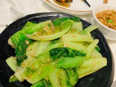 -裕.鹅庄
