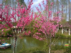 -荆川公园
