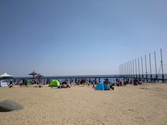 -碧海金沙