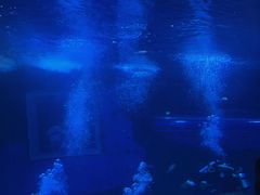 -太平洋海底世界