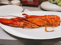龙虾-神洲四海大酒楼(王府井澳门中心店)