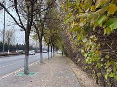 -海岩咖啡(南中环国金店)