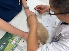 -博特宠物医院24h犬猫全科.骨科·异宠