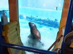 -太平洋海底世界