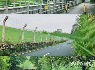 马峦北路.深圳又一条小众的日系片公路！