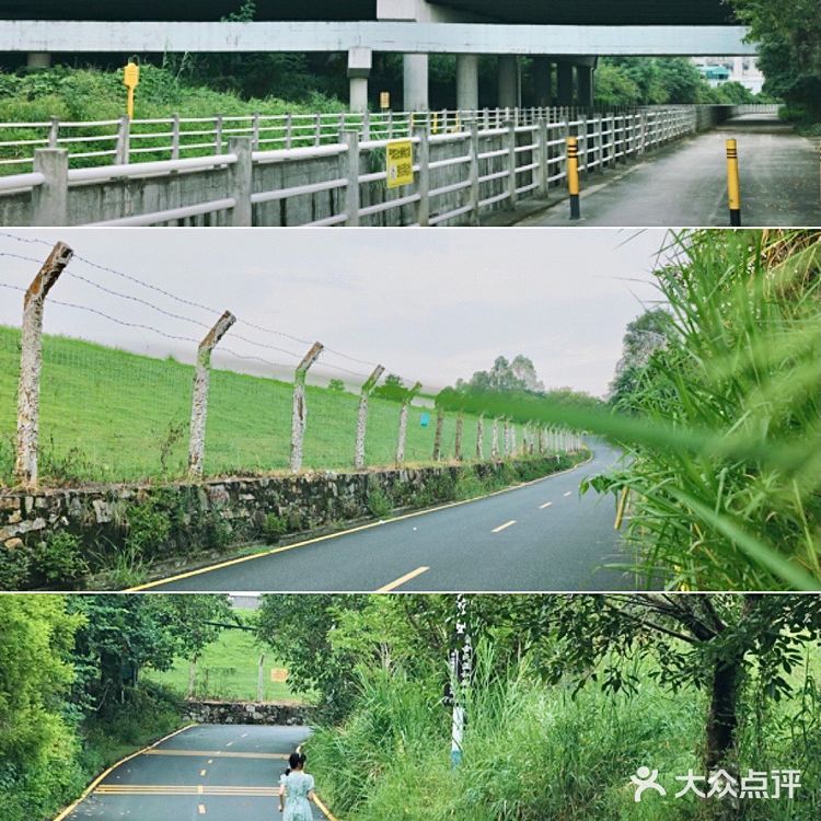 马峦北路.深圳又一条小众的日系片公路！