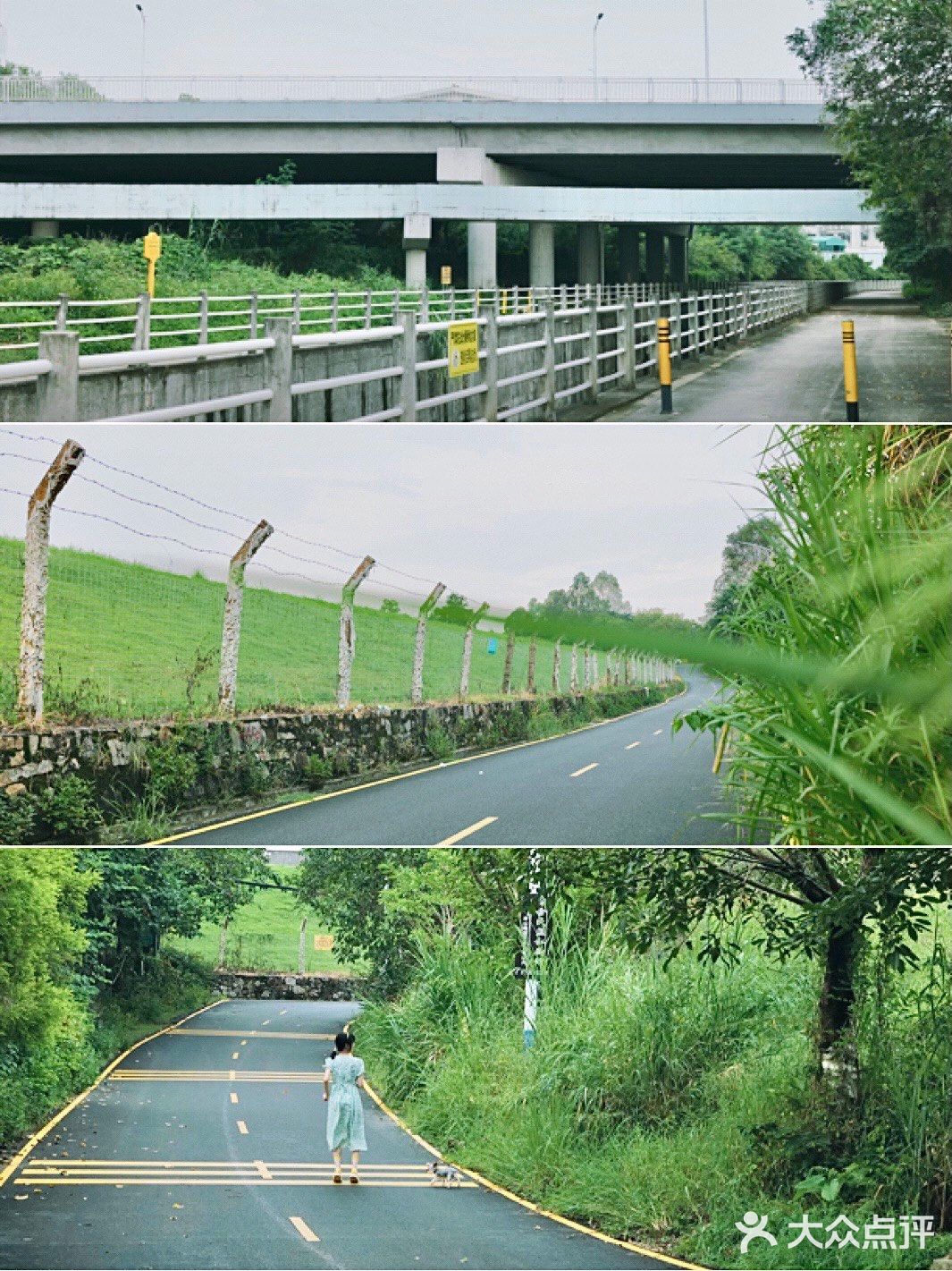 马峦北路.深圳又一条小众的日系片公路！