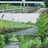 马峦北路.深圳又一条小众的日系片公路！