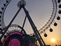-海合安武汉极地海洋公园