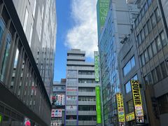 -秋叶原电器街